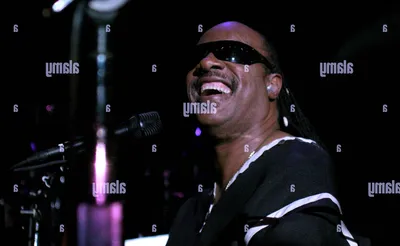 Stevie Wonder